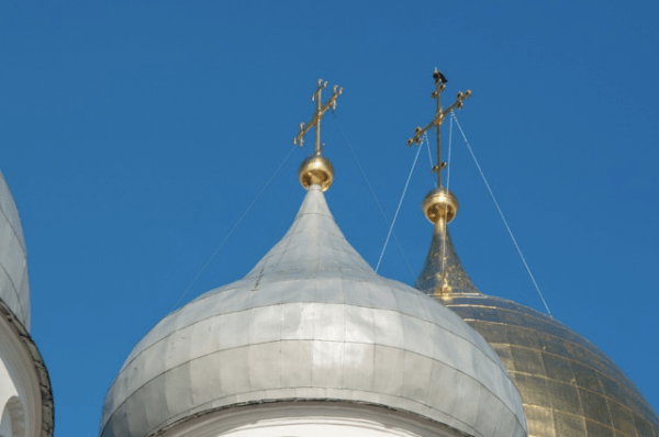 
        В Татарстане приступили к строительству розария            