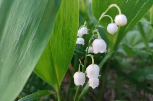 Власти Казани озвучили список пляжей на 2023 год