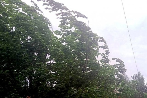 
        В выходные татарстанцев ожидает потепление и дожди            