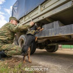 &laquo;Потребление &laquo;синтетики&raquo; у нас растет&raquo;: в Татарстан наркотики завозят из Москвы и Санкт-Петербурга