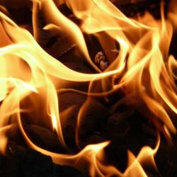 При пожаре на пороховом заводе в Тамбовской области погибли четыре человека При пожаре на пороховом заводе в Тамбовской области погибли четыре человека