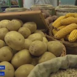 Россия стала единственной страной Европы, в которой подешевели продукты Россия стала единственной страной Европы, в которой подешевели продукты