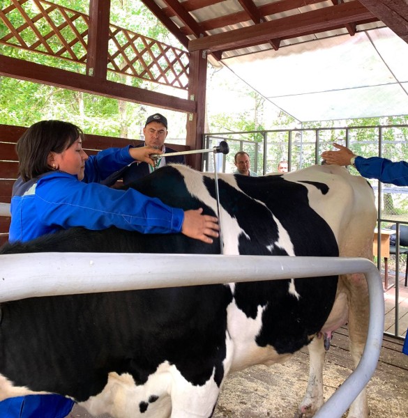 В Татарстане прошел VI Республиканский конкурс зоотехников-селекционеров молочного и мясного скотоводства (ФОТО)