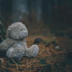 В Челябинской области нашли тело пропавшей 11-летней девочки