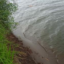 В озере в Нижнекамском районе обнаружили тело мужчины