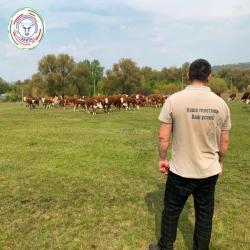 "Элита" решает вопросы по улучшению генетики вашего стада "Элита" решает вопросы по улучшению генетики вашего стада