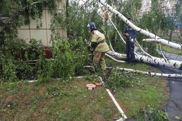 
        Стихия Агрызнулась.        В Татарстане мощный ураган сносил крыши, валил деревья    