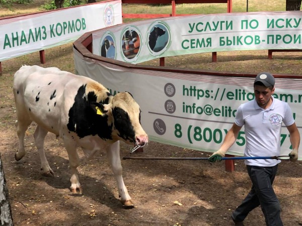 &laquo;Элиту&raquo; посетила делегация из Алтайского края