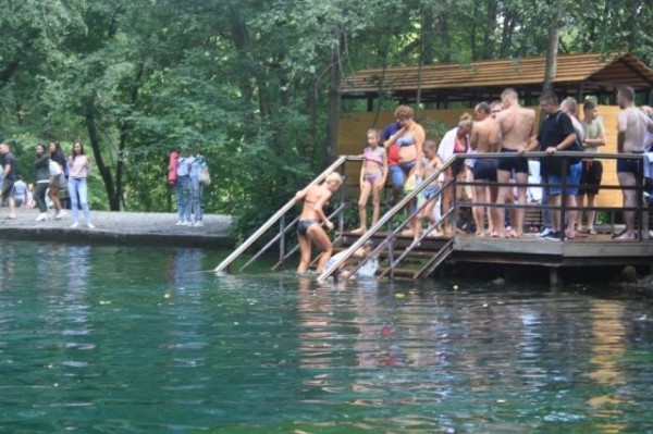 
        Мёртвая вода.        Почему на озёрах и реках гибнет рыба и птицы?    