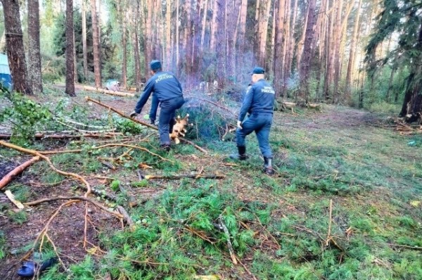 
        Людей раздавило прямо в палатках.        Число жертв урагана выросло до 10 человек    