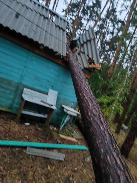 
        Людей раздавило прямо в палатках.        Число жертв урагана выросло до 10 человек    