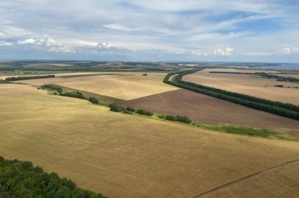 Рустам Минниханов с вертолёта оценил состояние посевов в засуху
Рустам Минниханов с вертолёта оценил состояние посевов в засуху