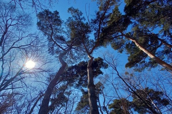 
        В Казани найдено тело пропавшего 39-летнего мужчины            