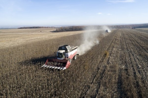 Стало известно, когда пройдут сельскохозяйственные ярмарки в Казани
Стало известно, когда пройдут сельскохозяйственные ярмарки в Казани