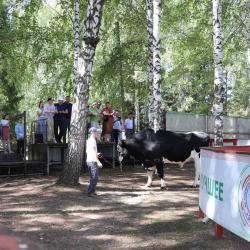 &laquo;Элиту&raquo; посетила делегация Департамента АПК Тюменской области