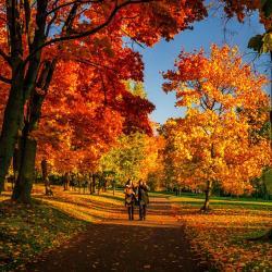 Что нового в сентябре 2023