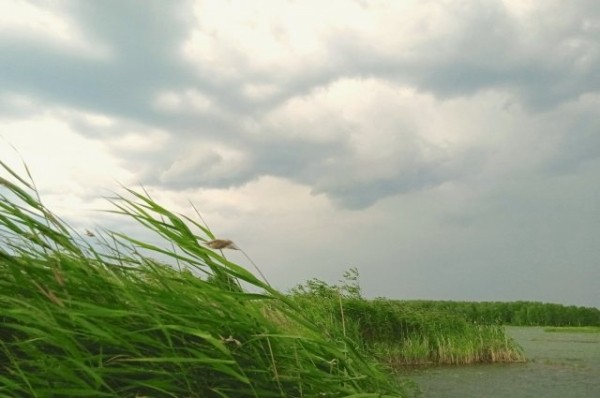
        Грозу и усиление ветра прогнозируют в Татарстане            