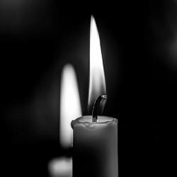 Российский хоккеист скончался после укуса клеща