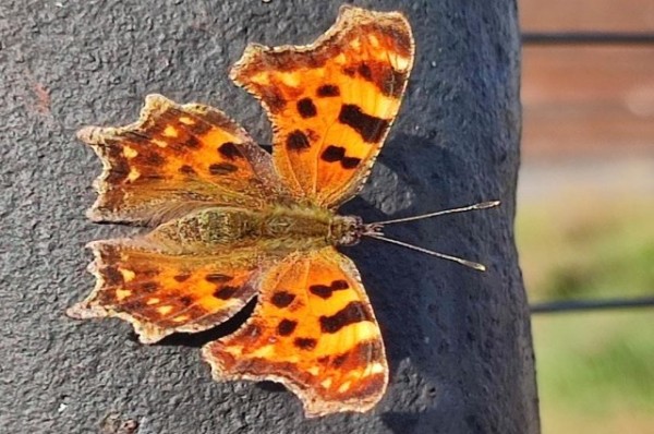 
        Жителям Татарстана пообещали скорое наступление бабьего лета            