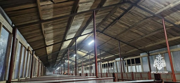 В одном из сел Татарстана во время пожара на ферме погибли 25 телят В одном из сел Татарстана во время пожара на ферме погибли 25 телят