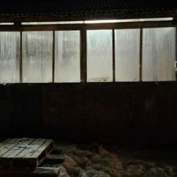 В одном из сел Татарстана во время пожара на ферме погибли 25 телят В одном из сел Татарстана во время пожара на ферме погибли 25 телят