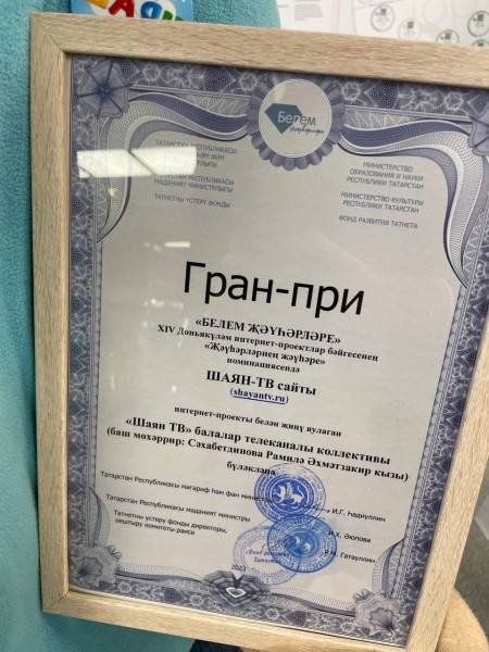 &laquo;ШАЯН ТВ&raquo; одержал победу во Всемирном конкурсе интернет проектов &laquo;Белем җәүһәрләре&raquo;