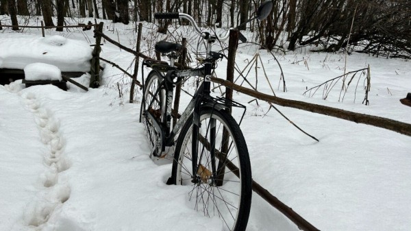 В Татарстане нашли тело отшельника, который прожил в лесу более 20 лет (ФОТО)