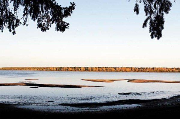 
        Казанские ученые научились менять прочность сплава через пористость    