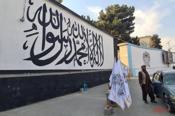 
        В Кабуле обсудили торгово-экономические отношения Афганистана и России    