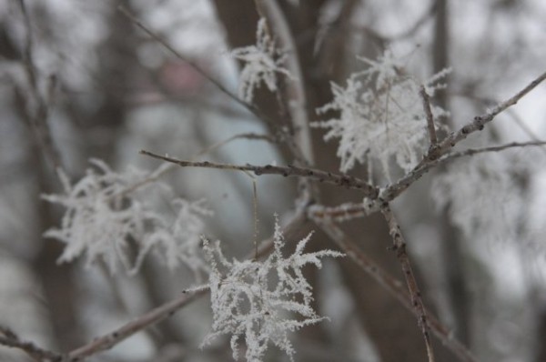 
        В Татарстане ожидаются 20-ти градусные морозы    