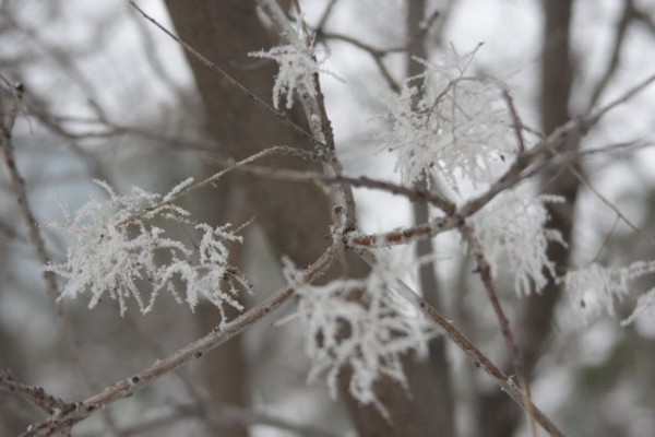 
        В Татарстане объявили предупреждение о 29-градусном морозе    