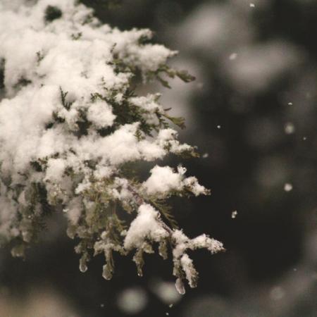 МЧС напоминает татарстанцам о мерах безопасности в грядущую метель и гололед МЧС напоминает татарстанцам о мерах безопасности в грядущую метель и гололед