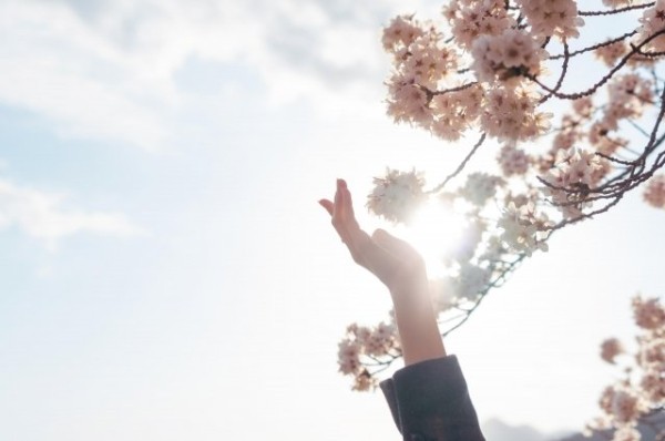 
        Татарстанцам на следующей неделе обещают потепление до 13 градусов    