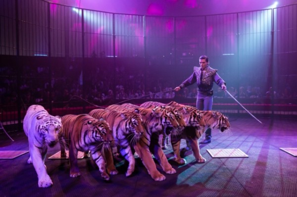 
        В Казанском цирке показали новую программу с участием гостей из Италии    