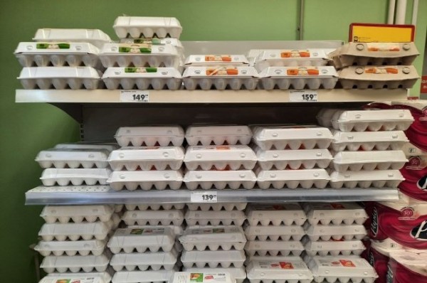 
        На более чем 63 % подорожали яйца в Татарстане по сравнению с прошлым годом    