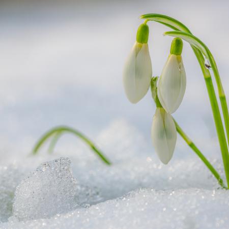 Метеоролог Аухадеев: Потоки поменялись, теперь температура в Татарстане будет повышаться