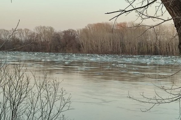 На четырёх реках Татарстана вода поднялась за сутки на 87 см
На четырёх реках Татарстана вода поднялась за сутки на 87 см