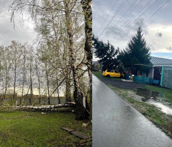 Власти Буинска устраняют последствия непогоды