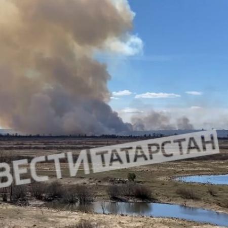 В Елабужском районе загорелись поля В Елабужском районе загорелись поля