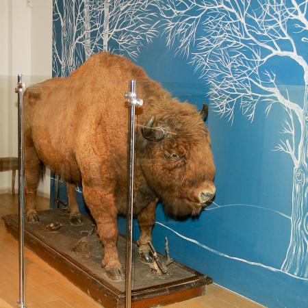 Национальный музей представит свои сокровища в день рождения