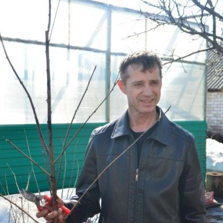 Агроном Челнов: из-за заморозков урожая вишни и сливы в этом году не будет