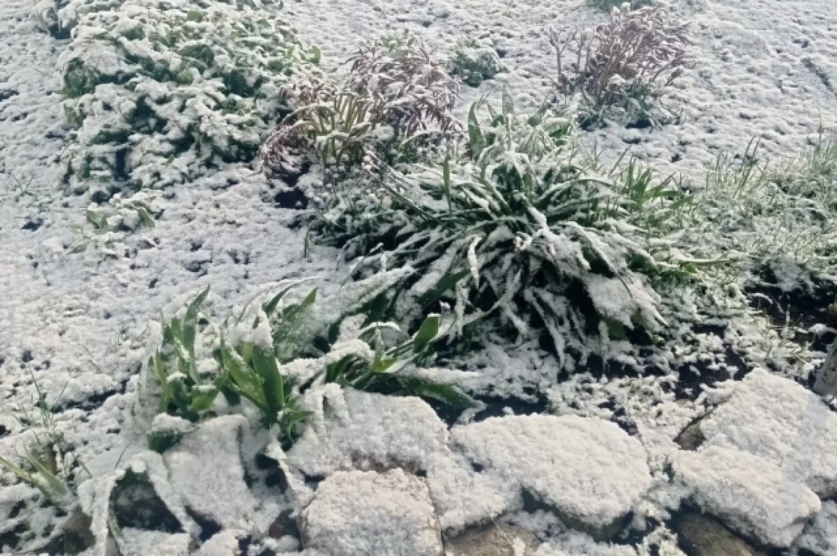 
        Ночью - минус, днём - плюс: в Татарстан опять идут заморозки    