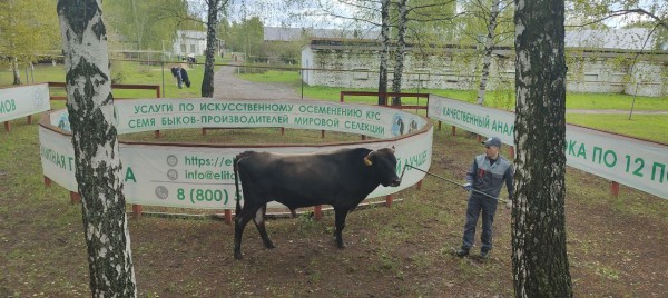 "Элиту" посетила делегация министерства сельского хозяйства и продовольствия Томской области