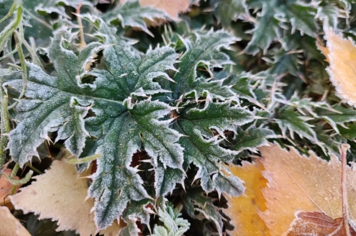 
        Рекордный холод прогнозируется в Татарстане    