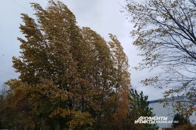 Татарстанцам рассказали, когда в республике потеплеет до плюс 20 градусов
Татарстанцам рассказали, когда в республике потеплеет до плюс 20 градусов