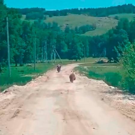 Гнавшегося за мотоциклистом медведя сняли на видео в соседнем с Татарстаном регионе