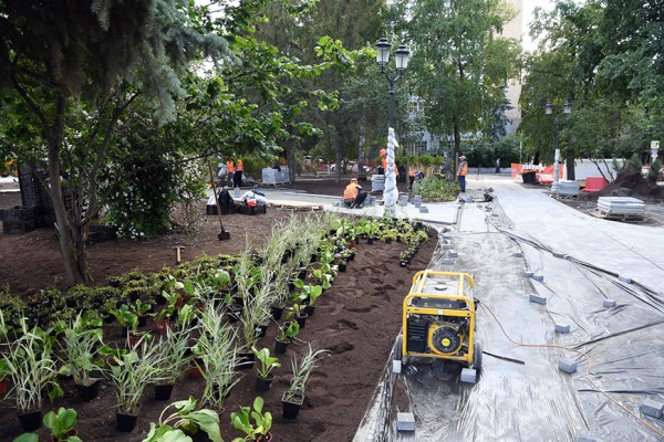 Новая гранитная лестница, лабиринт из кизильника и кафе правильного питания – в Казани комплексно благоустраивают детский парк и сад Фукса Новая гранитная лестница, лабиринт из кизильника и кафе правильного питания – в Казани комплексно благоустраивают детский парк и сад Фукса