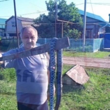 Трехметровую гадюку поймал житель одного из районов Татарстана
