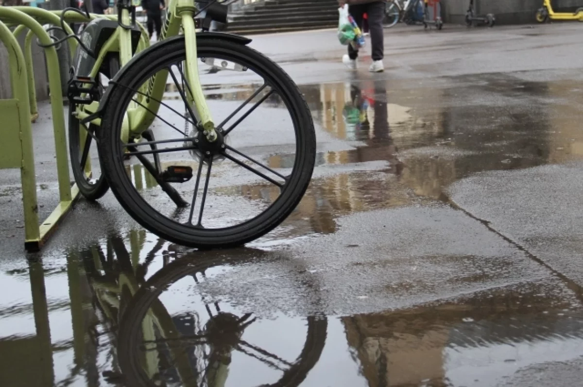 
        В Альметьевске украденный велосипед продали цыганам    