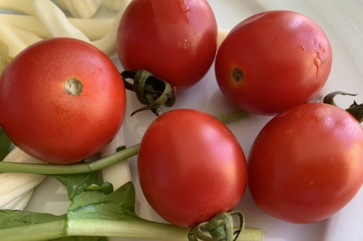 Свежие помидоры подешевели в Татарстане, а второй хлеб подорожал
Свежие помидоры подешевели в Татарстане, а второй хлеб подорожал